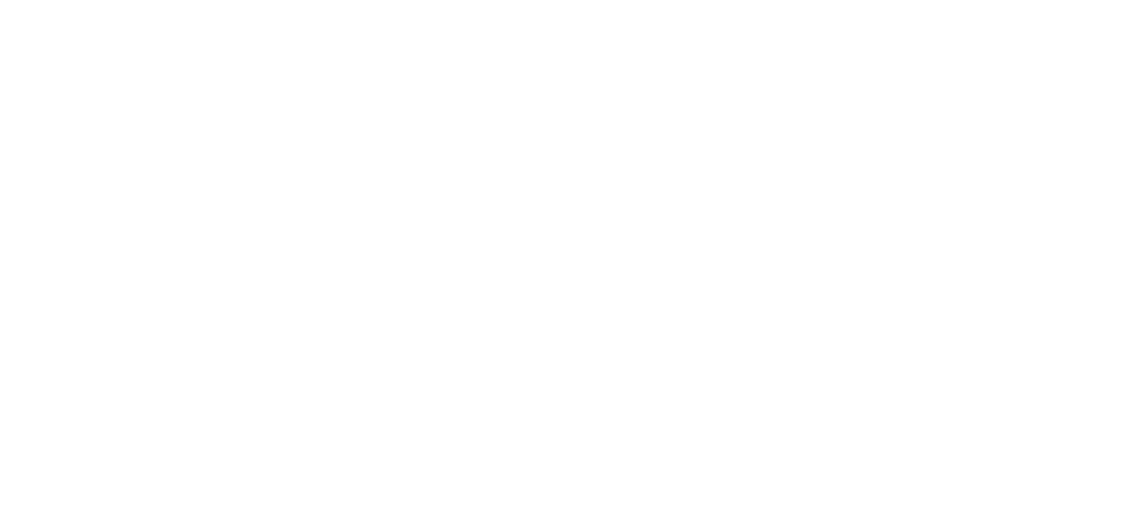 Holla — Brand Experience